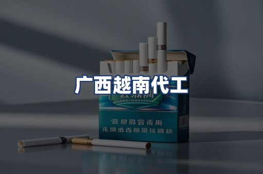 广西越南代工